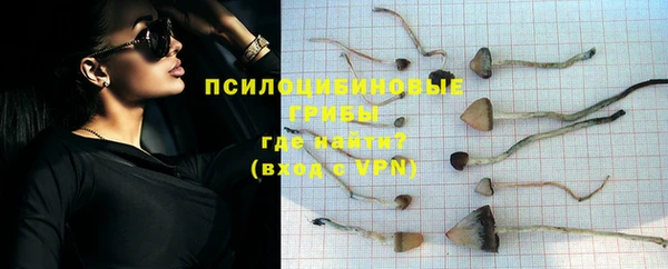 тгк Фёдоровский