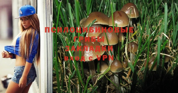 PSILOCYBIN Нестеровская