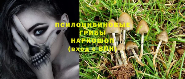 PSILOCYBIN Нестеровская