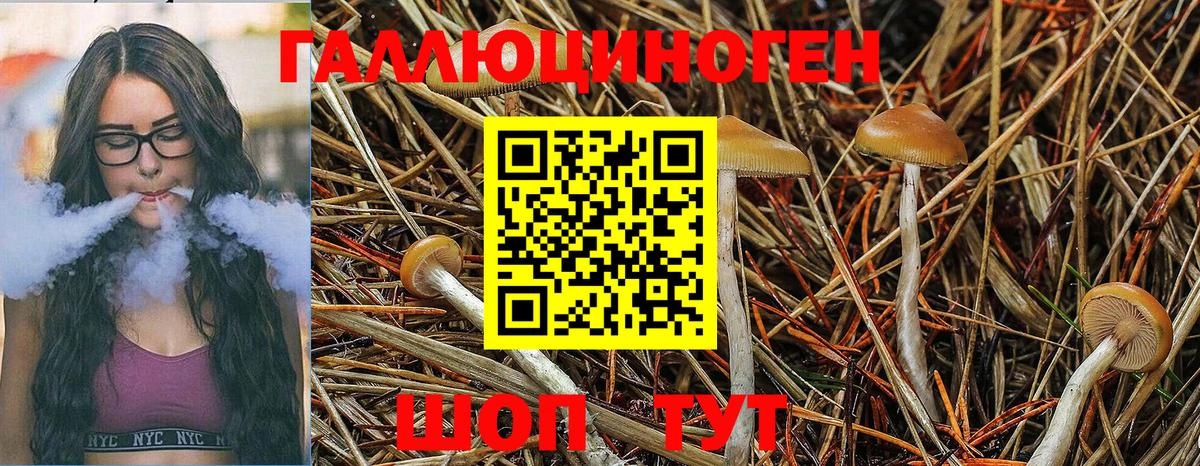 Галлюциногенные грибы MAGIC MUSHROOMS Каспийск